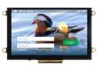 5-inch IPS HDMI TFT Modules